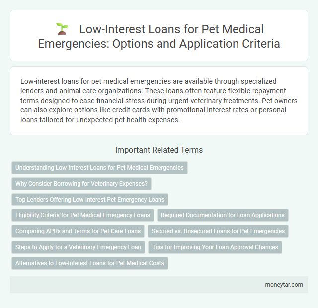 Low-Interest Loans for Pet Medical Emergencies: Options and Application Criteria