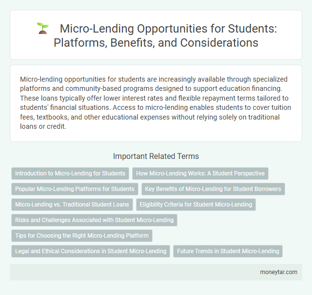 Micro-Lending Opportunities for Students: Platforms, Benefits, and Considerations