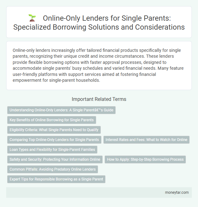 Online-Only Lenders for Single Parents: Specialized Borrowing Solutions and Considerations