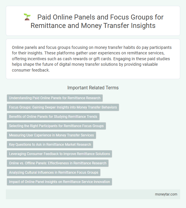 Paid Online Panels and Focus Groups for Remittance and Money Transfer Insights