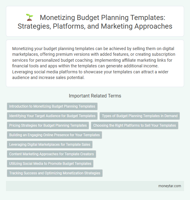 Monetizing Budget Planning Templates: Strategies, Platforms, and Marketing Approaches