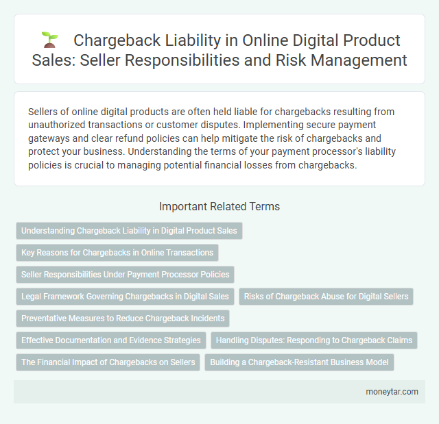 Chargeback Liability in Online Digital Product Sales: Seller Responsibilities and Risk Management
