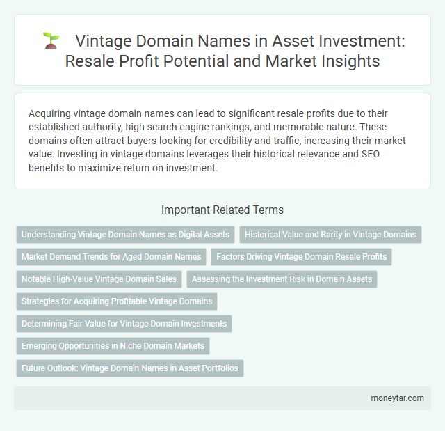 Vintage Domain Names in Asset Investment: Resale Profit Potential and Market Insights