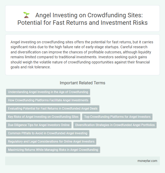 Angel Investing on Crowdfunding Sites: Potential for Fast Returns and Investment Risks