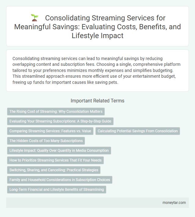 Consolidating Streaming Services for Meaningful Savings: Evaluating Costs, Benefits, and Lifestyle Impact