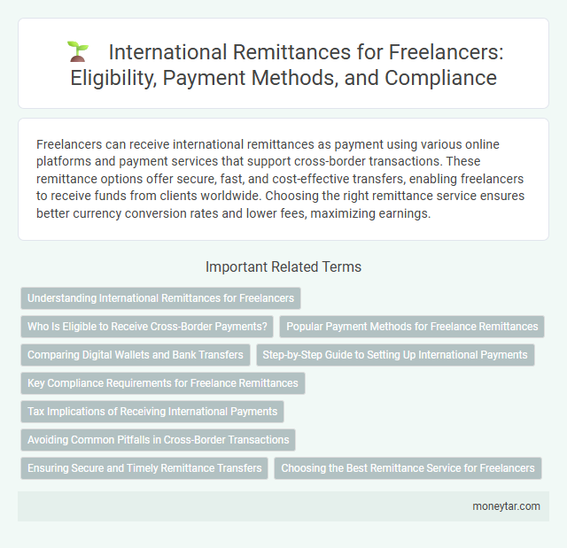 International Remittances for Freelancers: Eligibility, Payment Methods, and Compliance