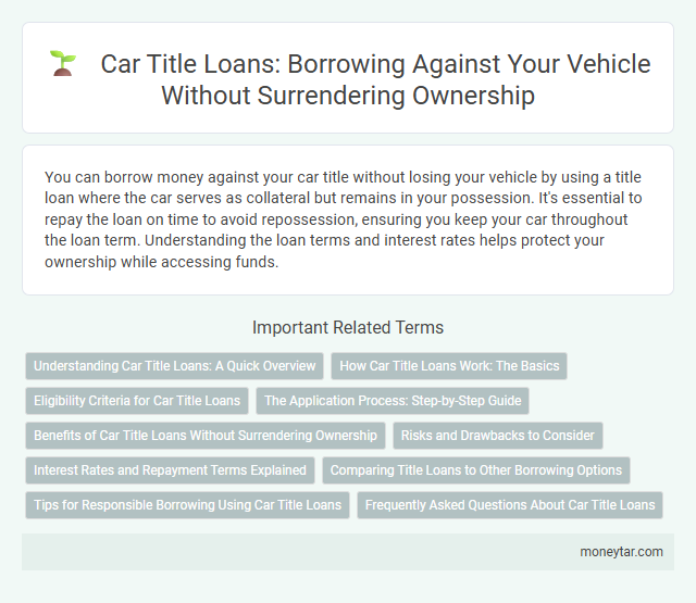 Car Title Loans: Borrowing Against Your Vehicle Without Surrendering Ownership