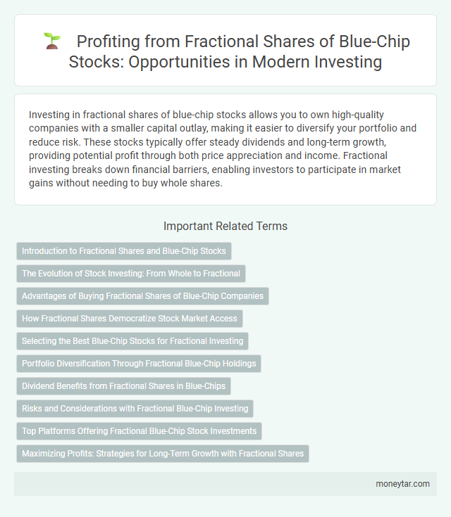Profiting from Fractional Shares of Blue-Chip Stocks: Opportunities in Modern Investing