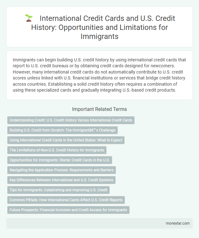 International Credit Cards and U.S. Credit History: Opportunities and Limitations for Immigrants