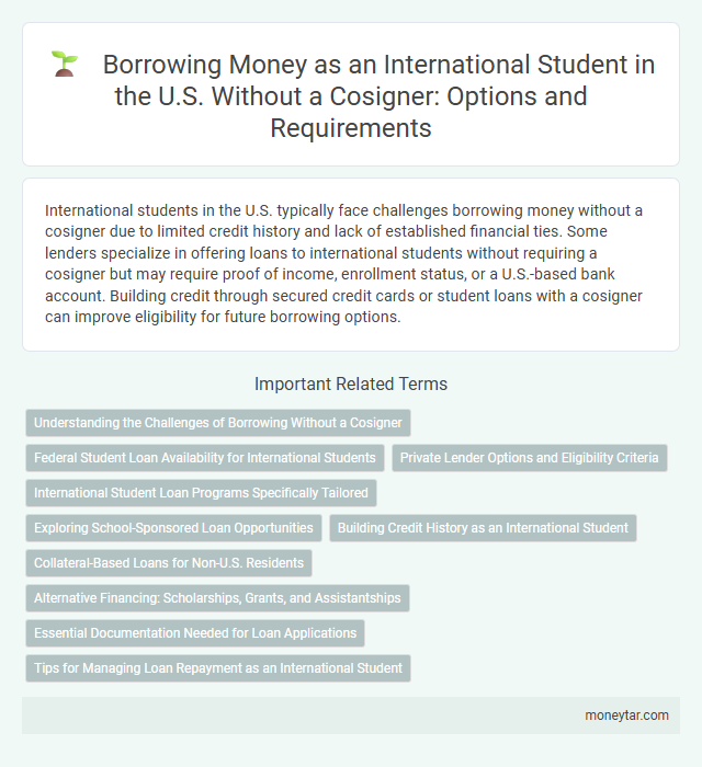 Borrowing Money as an International Student in the U.S. Without a Cosigner: Options and Requirements