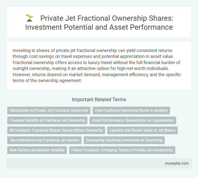 Private Jet Fractional Ownership Shares: Investment Potential and Asset Performance