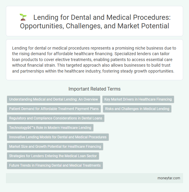 Lending for Dental and Medical Procedures: Opportunities, Challenges, and Market Potential