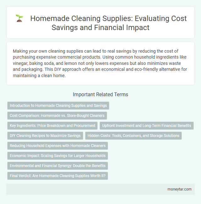 Homemade Cleaning Supplies: Evaluating Cost Savings and Financial Impact