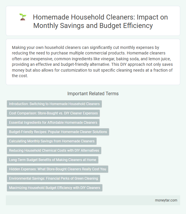 Homemade Household Cleaners: Impact on Monthly Savings and Budget Efficiency