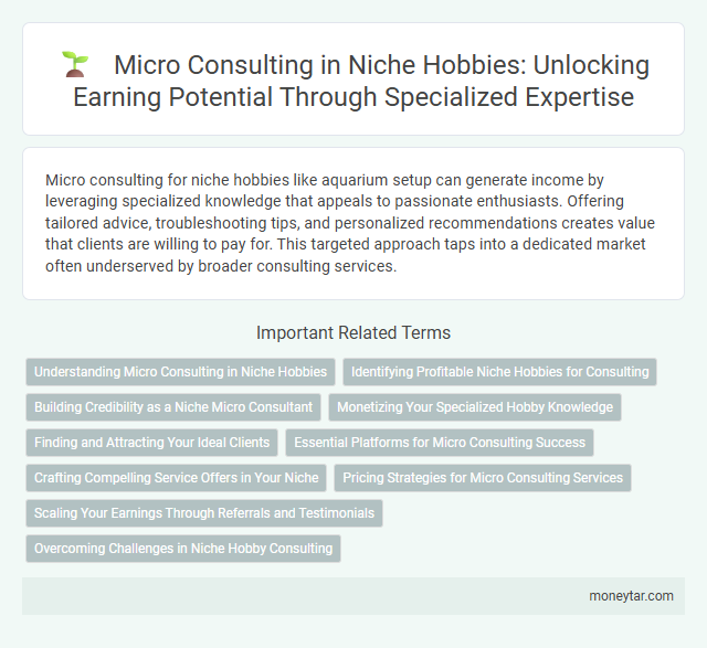 Micro Consulting in Niche Hobbies: Unlocking Earning Potential Through Specialized Expertise