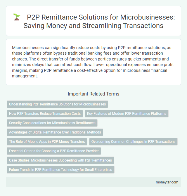 P2P Remittance Solutions for Microbusinesses: Saving Money and Streamlining Transactions