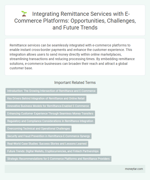 Integrating Remittance Services with E-Commerce Platforms: Opportunities, Challenges, and Future Trends