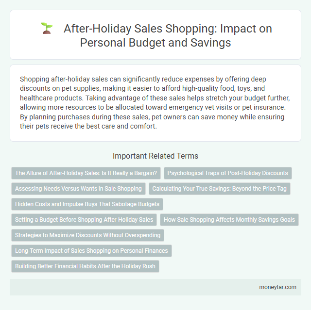 After-Holiday Sales Shopping: Impact on Personal Budget and Savings
