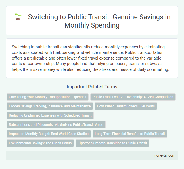 Switching to Public Transit: Genuine Savings in Monthly Spending