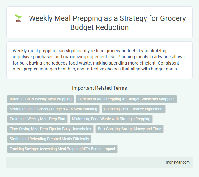 Weekly Meal Prepping as a Strategy for Grocery Budget Reduction