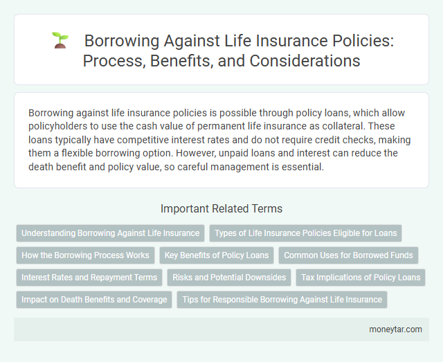 Borrowing Against Life Insurance Policies: Process, Benefits, and Considerations