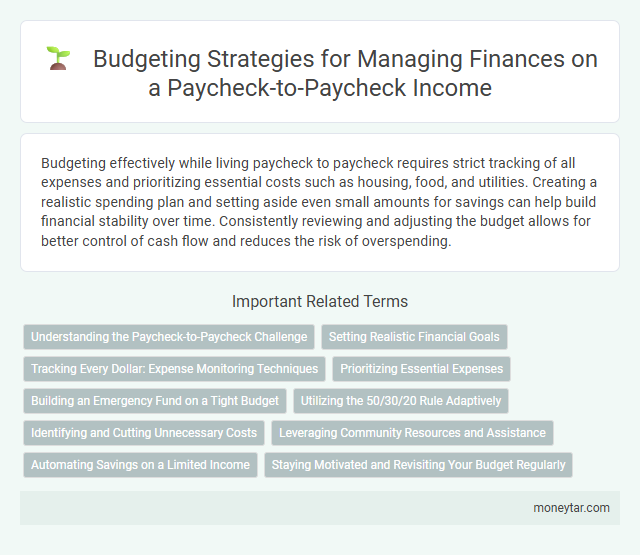 Budgeting Strategies for Managing Finances on a Paycheck-to-Paycheck Income