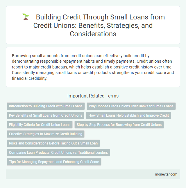 Building Credit Through Small Loans from Credit Unions: Benefits, Strategies, and Considerations