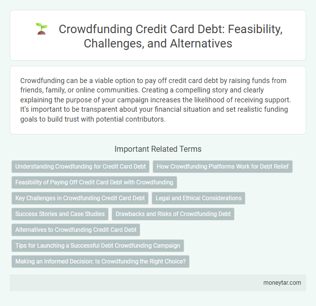 Crowdfunding Credit Card Debt: Feasibility, Challenges, and Alternatives