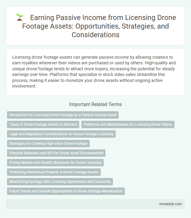 Earning Passive Income from Licensing Drone Footage Assets: Opportunities, Strategies, and Considerations