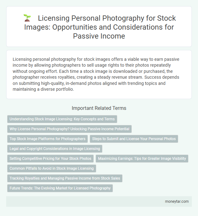 Licensing Personal Photography for Stock Images: Opportunities and Considerations for Passive Income