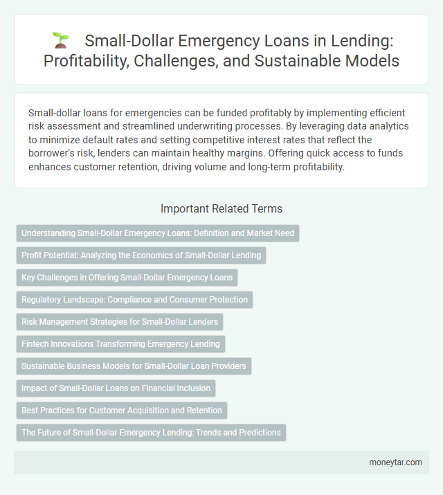 Small-Dollar Emergency Loans in Lending: Profitability, Challenges, and Sustainable Models