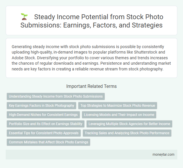 Steady Income Potential from Stock Photo Submissions: Earnings, Factors, and Strategies