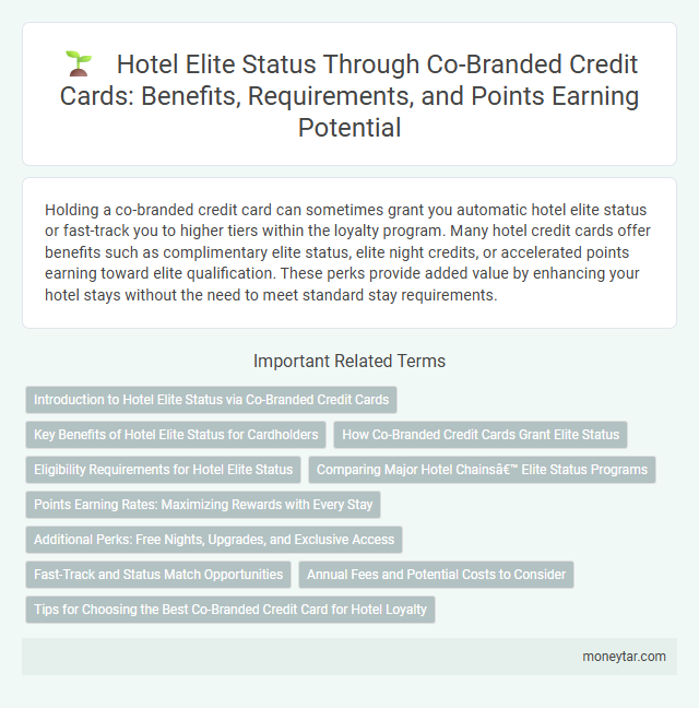 Hotel Elite Status Through Co-Branded Credit Cards: Benefits, Requirements, and Points Earning Potential