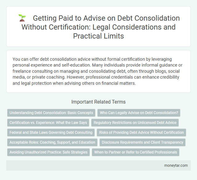 Getting Paid to Advise on Debt Consolidation Without Certification: Legal Considerations and Practical Limits