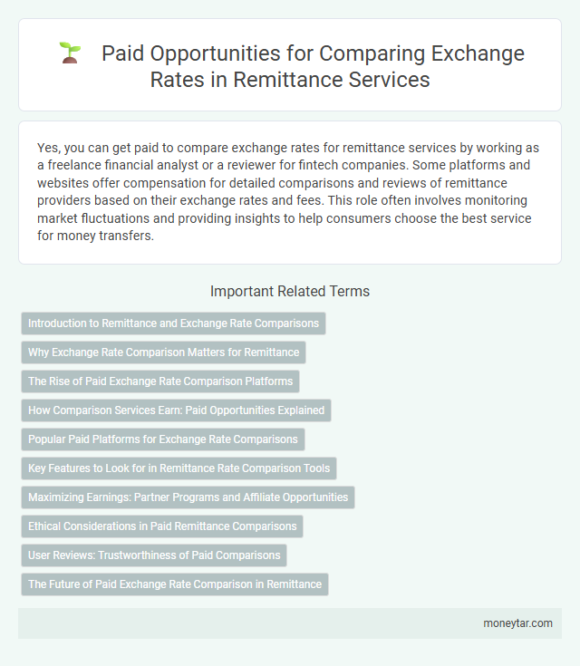 Paid Opportunities for Comparing Exchange Rates in Remittance Services