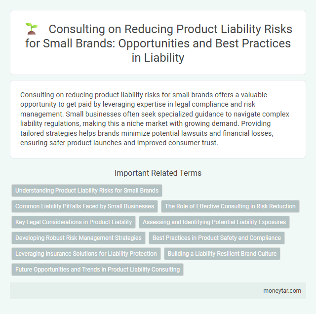 Consulting on Reducing Product Liability Risks for Small Brands: Opportunities and Best Practices in Liability