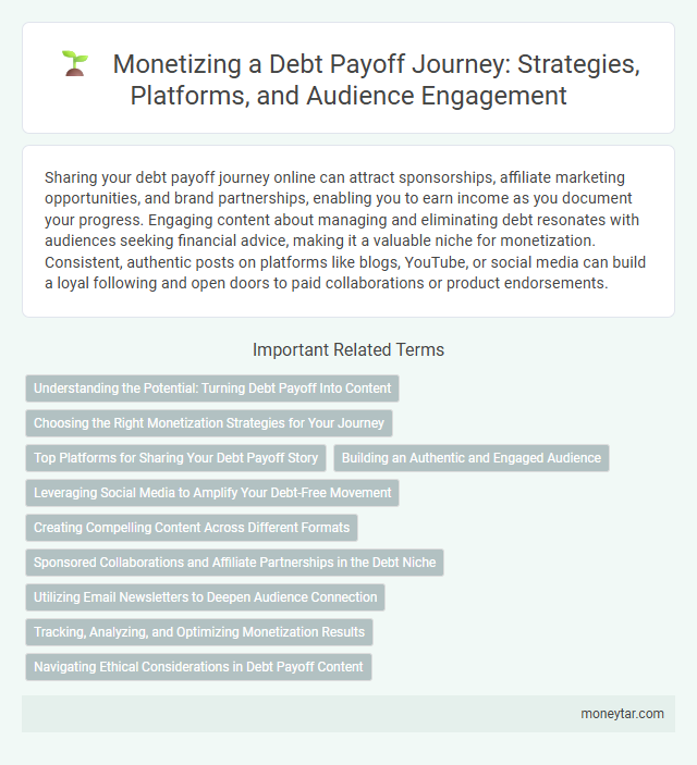 Monetizing a Debt Payoff Journey: Strategies, Platforms, and Audience Engagement