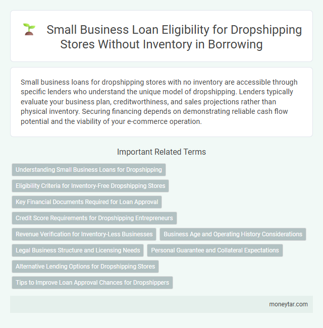 Small Business Loan Eligibility for Dropshipping Stores Without Inventory in Borrowing