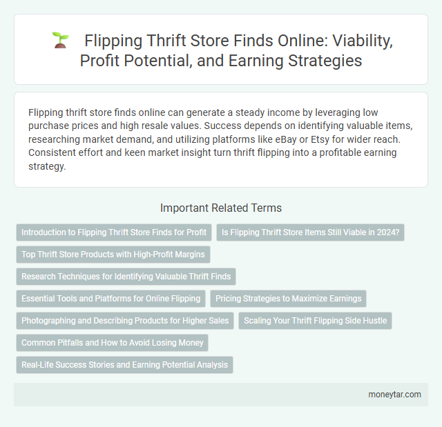 Flipping Thrift Store Finds Online: Viability, Profit Potential, and Earning Strategies