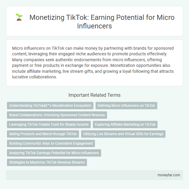 Monetizing TikTok: Earning Potential for Micro Influencers