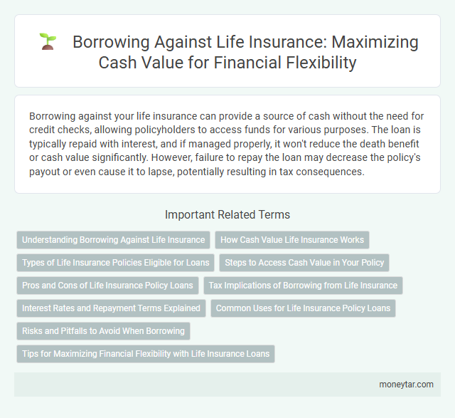 Borrowing Against Life Insurance: Maximizing Cash Value for Financial Flexibility