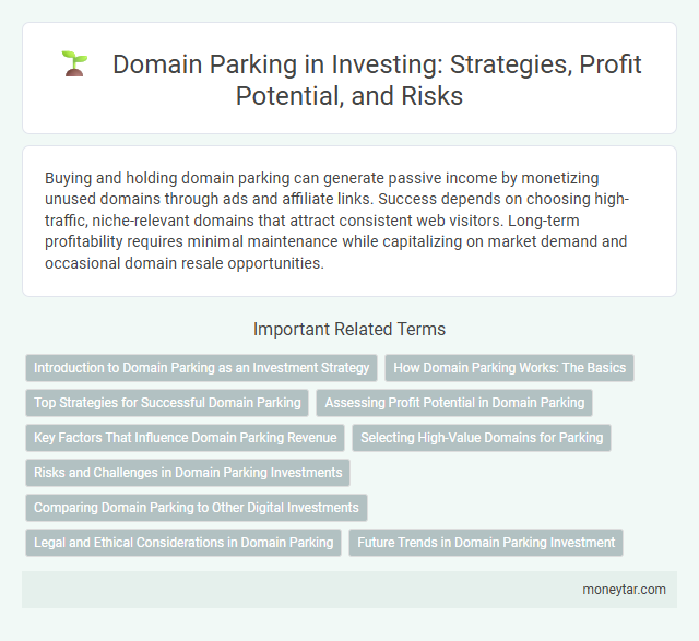 Domain Parking in Investing: Strategies, Profit Potential, and Risks