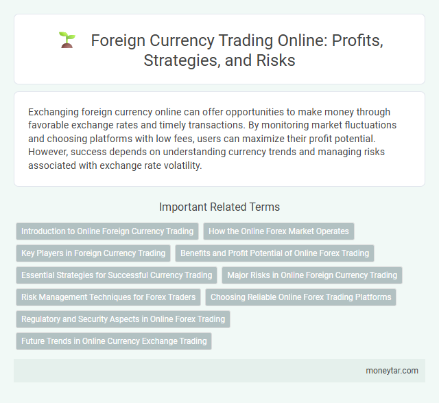 Foreign Currency Trading Online: Profits, Strategies, and Risks