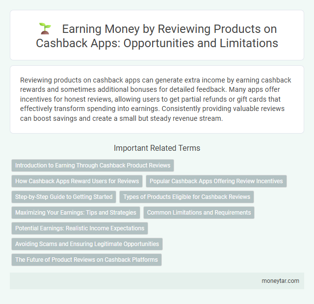 Earning Money by Reviewing Products on Cashback Apps: Opportunities and Limitations