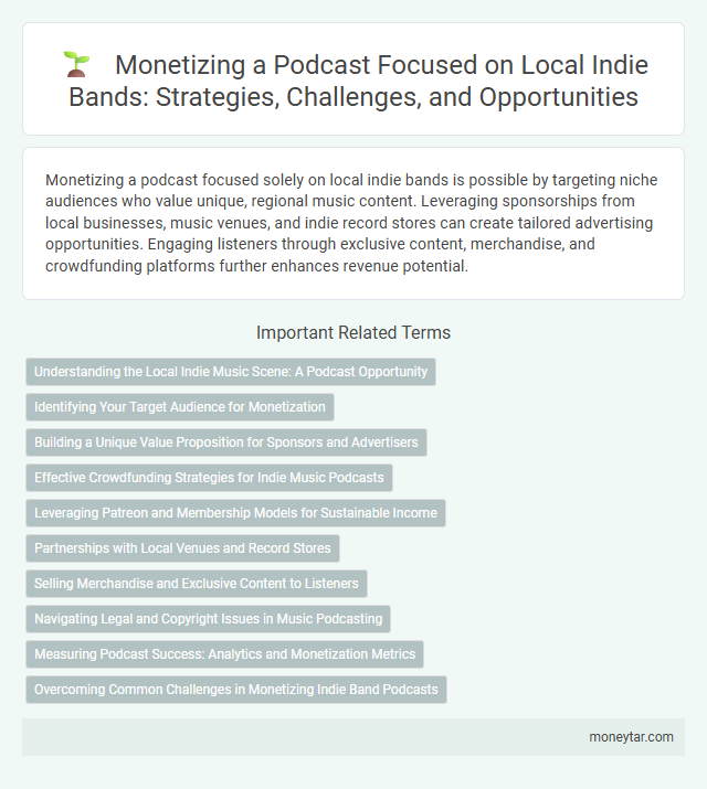 Monetizing a Podcast Focused on Local Indie Bands: Strategies, Challenges, and Opportunities