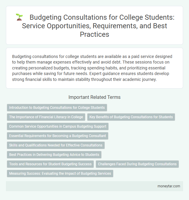 Budgeting Consultations for College Students: Service Opportunities, Requirements, and Best Practices