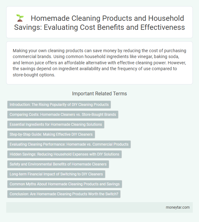 Homemade Cleaning Products and Household Savings: Evaluating Cost Benefits and Effectiveness