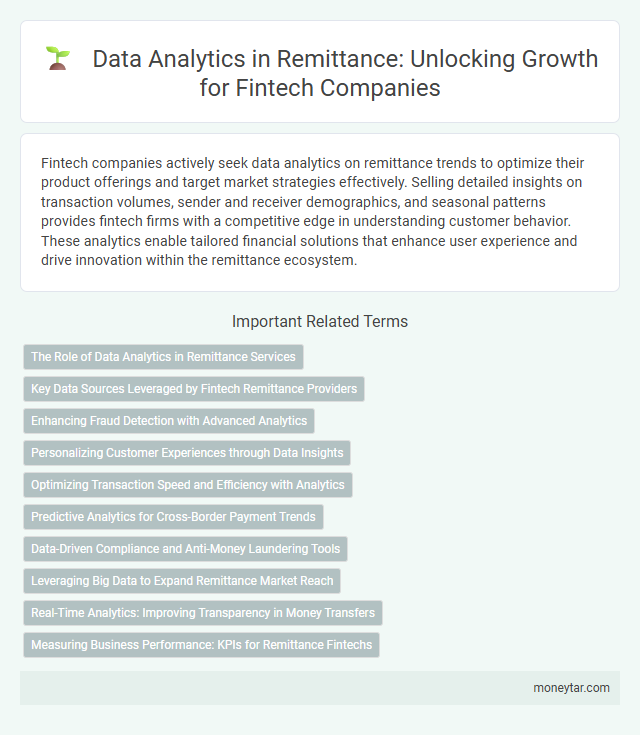 Data Analytics in Remittance: Unlocking Growth for Fintech Companies