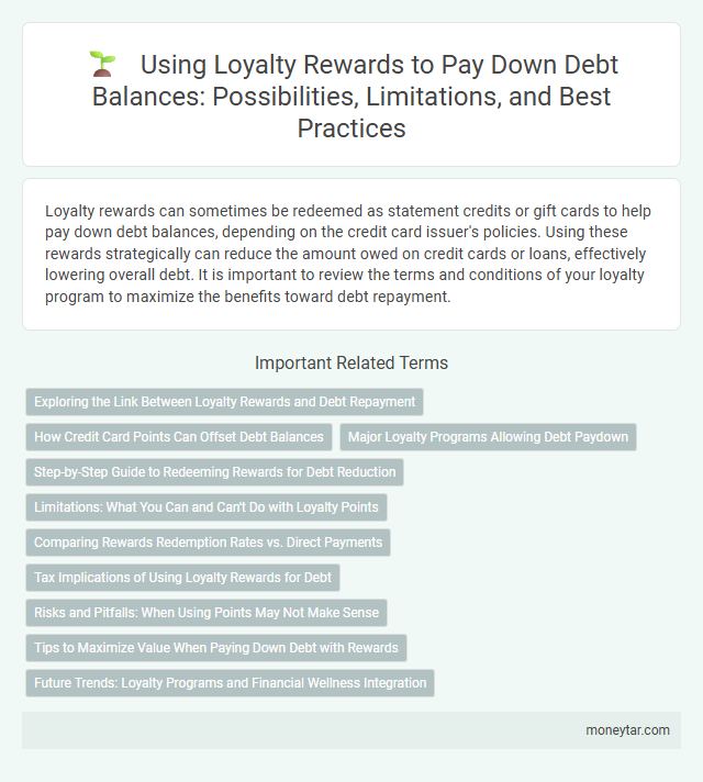 Using Loyalty Rewards to Pay Down Debt Balances: Possibilities, Limitations, and Best Practices