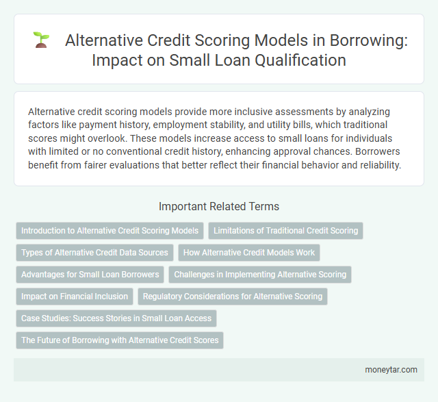 Alternative Credit Scoring Models in Borrowing: Impact on Small Loan Qualification